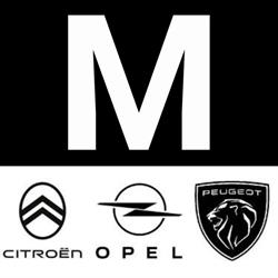 Maestrini Auto srl Autofficina, Certaldo orari di apertura