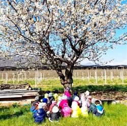 Scuola Materna 'padre Ribero' - Pratavecchia, Dronero orari di apertura