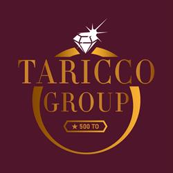 Taricco Group SRL, Torino orari di apertura