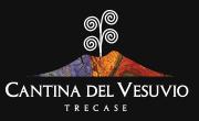 Cantina Del Vesuvio Azienda Vinicola Di Russo Maurizio, Trecase orari di apertura