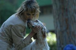 Pet Land SNC Di Monica Bottazzo & C. Toeletta Per Cani e Gatti, Grosseto orari di apertura