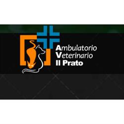 Clinica Veterinaria Il Prato, Lastra a Signa orari di apertura