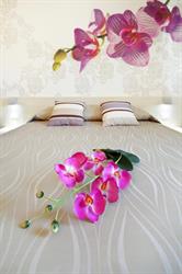 Hotel Alex Di Giraldi Alex E C. Snc, Lignano Sabbiadoro orari di apertura