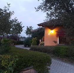 Osteria La Tagliola Di Salvini Rossano, Montopoli in Val d'Arno orari di apertura