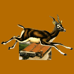 Nuova Antilope, San Miniato orari di apertura