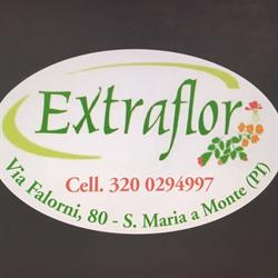 Extraflor Di Cantini Luciano & C. Snc, Santa Maria a Monte orari di apertura