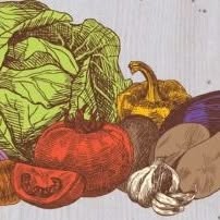 Il Giardino Della Frutta Di Tozzi Patrizia, Siena orari di apertura