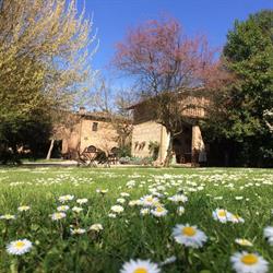 Azienda Agricola Poggio Salvi Ss, Sovicille orari di apertura