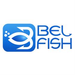 Belfish, Genova orari di apertura