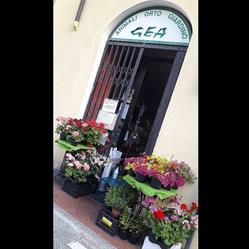 Gea, Imperia orari di apertura