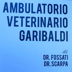 Ambulatorio Garibaldi, Bollate orari di apertura