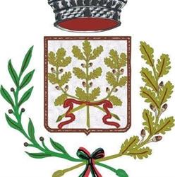 Comune Di Campolongo Maggiore, orari di apertura