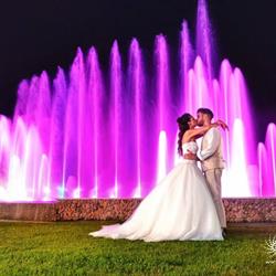 Ristorante Villa Momi's S.r.l., Cavarzere orari di apertura