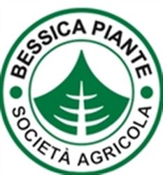 Bessica Piante Agricola Di Marchesan Matteo E Achi, orari di apertura