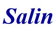 Giuseppe Salin S.r.l. Fax Rappresentanze Termotecnica, Martellago orari di apertura