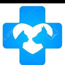 La Fenice Ambulatorio Medico Veterinario, Buguggiate orari di apertura