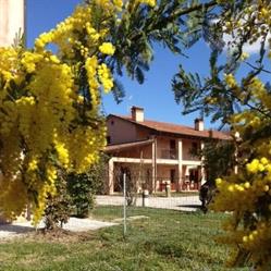 Agriturismo Morgan Camere E Colazione, Montebelluna orari di apertura