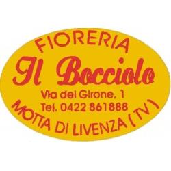 Fioreria Al Bocciolo, Motta di Livenza orari di apertura