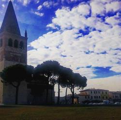Malgarise Gaetano Agente Di Commercio, San Bonifacio orari di apertura
