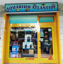 Acquario Aquarium Atlantide, Ancona orari di apertura