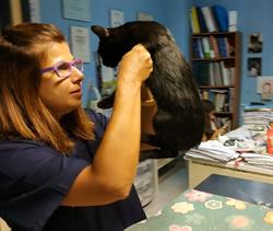 Ambulatorio Veterinario Dott.Ssa Lorella Cau, Sorso orari di apertura