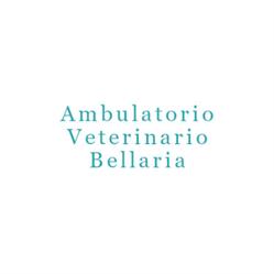 Ambulatorio Veterinario Bellaria, Arco orari di apertura