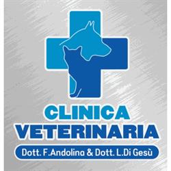 Clinica Veterinaria Dott. Andolina Dott. Di Gesù, Termini Imerese orari di apertura