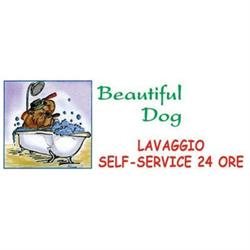 Beautiful Dog, Seregno orari di apertura