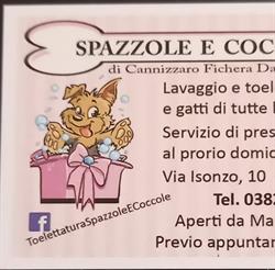 Spazzole E Coccole Di Cannizzaro Fichera Daniele Toelettatura Per Animali, Tromello orari di apertura
