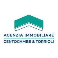 Agenzia Immobiliare Centogambe & Torrioli SRL, Sansepolcro orari di apertura