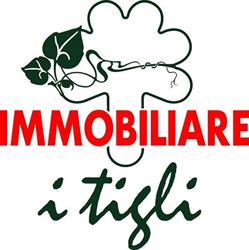 Agenzia "immobiliare i Tigli", Monteroni d'Arbia orari di apertura