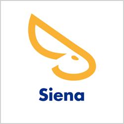 Agenzia Immobiliare Solo Affitti, Siena orari di apertura