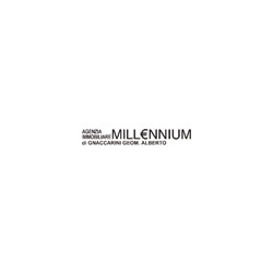 Immobiliare Millennium, Viadana orari di apertura