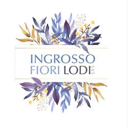 Ingrosso Fiori Lodi SNC Di Torri S. & Serviati G., orari di apertura