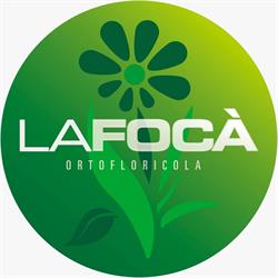 La Focà Ortofloricola Di Monterosso Giulio & C. Soc.sempl., Gallarate orari di apertura
