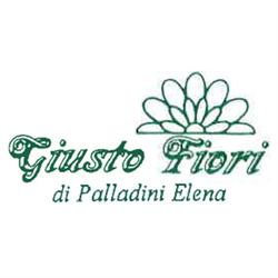 Giusto Fiori Interflora, Milano orari di apertura