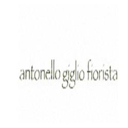 Fiorista Antonello Giglio, Messina orari di apertura