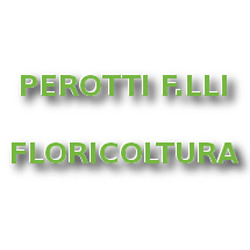 Perotti F.lli Floricoltura, Stradella orari di apertura
