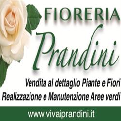 Fioreria Prandini San Giorgio Bigarello, Tripoli - Orari di apertura