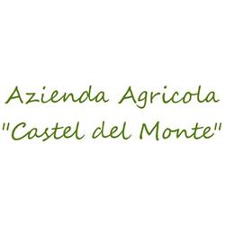 Azienda Agricola Castel Del Monte, Andria orari di apertura