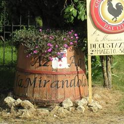 Azienda Agricola La Mirandola Di Scala Lorenzo, Castellina in Chianti orari di apertura