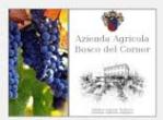Azienda Agricola Bosco Del Corner Di Ceccutto & C. S. S., Gorgo al Monticano orari di apertura