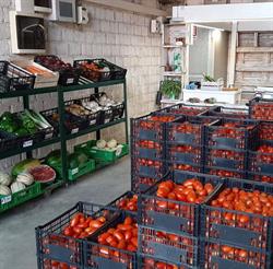 Azienda Agricola Ortofrutticola Faverato Società Agricola, Correzzola orari di apertura