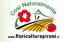 Floricoltura Pironi Società Semplice Florovivaismo, Vertemate con Minoprio orari di apertura