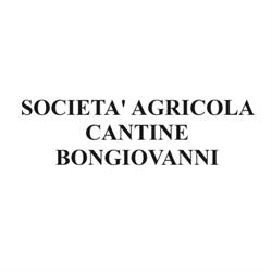 Società Agricola Cantine Bongiovanni, San bernardo carmagnola orari di apertura