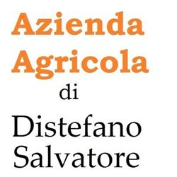 Azienda Agricola Distefano Salvatore, Mascalucia orari di apertura