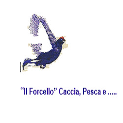 Armeria "Il Forcello", Chiavenna orari di apertura