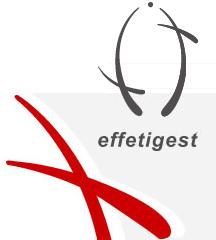 Effeti Gest S.r.l. Commercio Tessuti Pellami, Cadoneghe orari di apertura