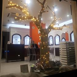 Ottica Bezzecchi Di M.B. & C.Snc, Induno Olona orari di apertura