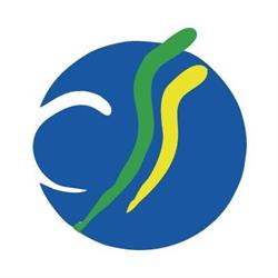Centro Studi e Servizi Srl - Sede di Alessandria, orari di apertura